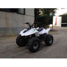 Mini Quad ATV 49cc